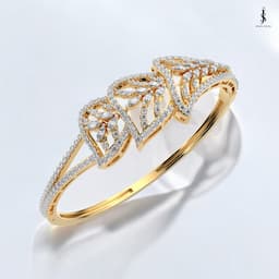 Collection Item