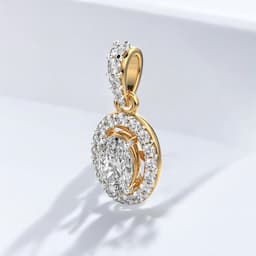 Collection Item